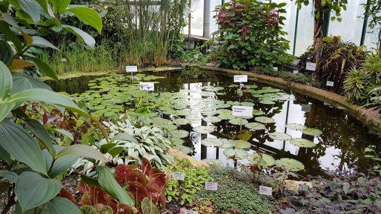 Liberec Botanic Gardens